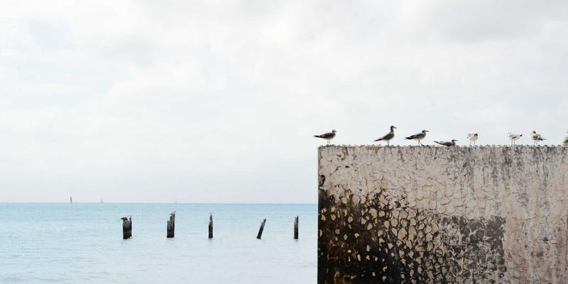 户外探险全攻略：从登山装备选择到探险旅行实战指南