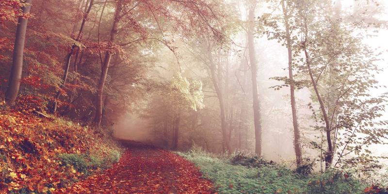 户外装备63：从登山装备到徒步旅行，一份全面的探险攻略