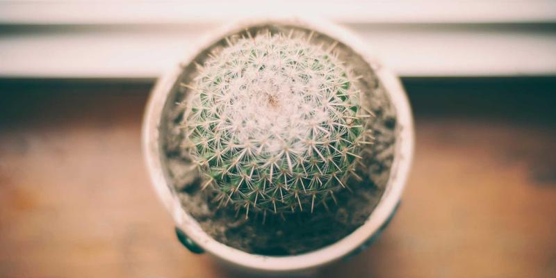 户外装备71:从露营到登山的专业装备选择指南