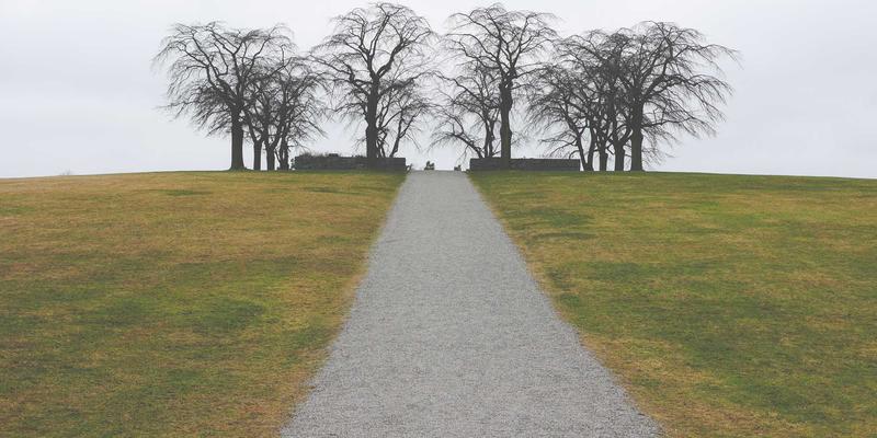 户外装备86：从露营到徒步的进阶装备指南