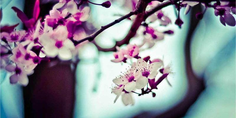 户外装备深度测评：徒步旅行与露营必备的智能手表，轨迹导航、心率监测与续航实战分析