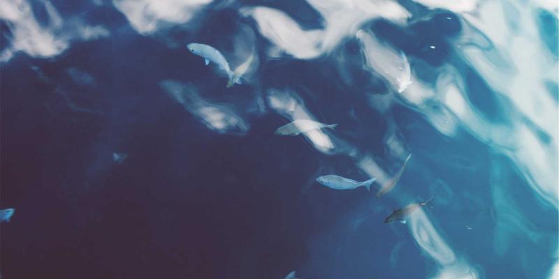 户外装备租赁指南：何时租比买更划算及注意事项 | 探险旅行与徒步运动必备