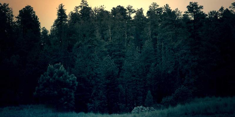 户外装备进阶指南：掌握露营帐篷搭建与选址技巧，应对不同地形与天气